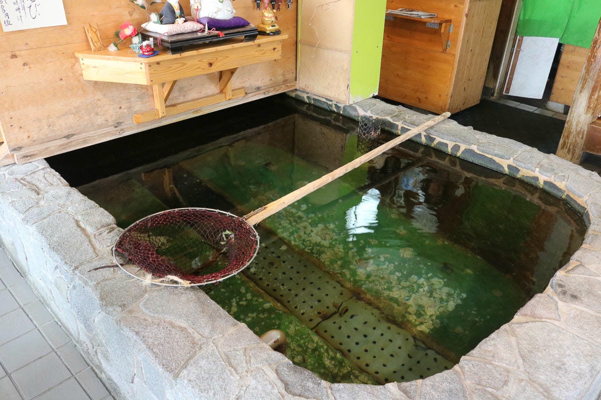 佐賀名物 餐廳大和花枝兩吃 いかの活き造り唯獨小心錢包破洞