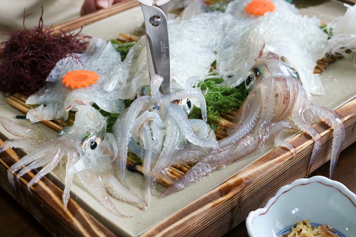 佐賀名物 餐廳大和花枝兩吃 いかの活き造り唯獨小心錢包破洞