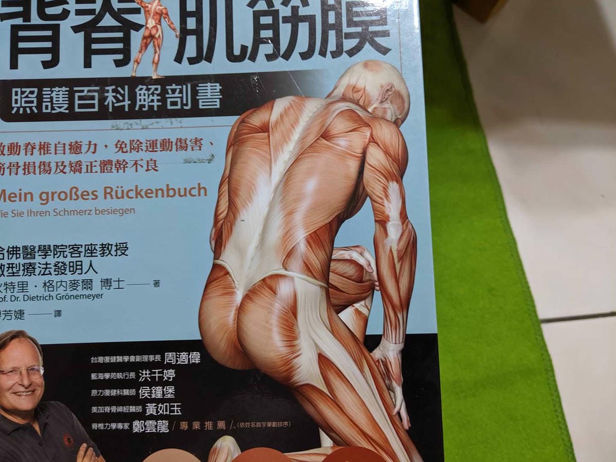 背脊肌筋膜讀書心得讀後感解剖