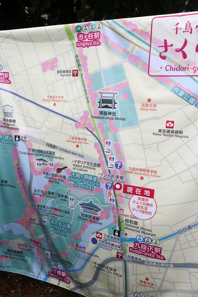 千鳥淵綠道 東京賞櫻散步遊船知名景點 就在皇居旁