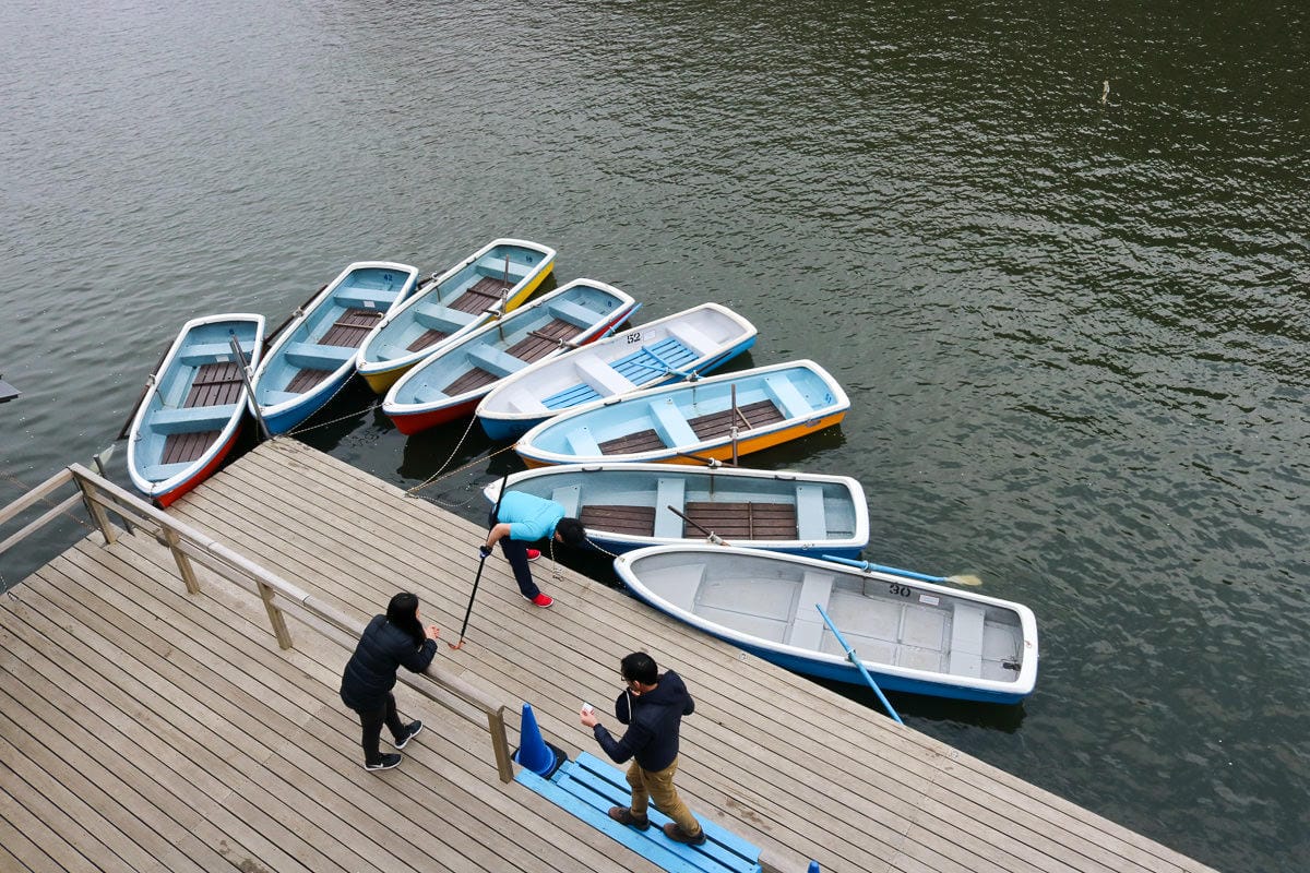 千鳥淵綠道 東京賞櫻散步遊船知名景點 就在皇居旁