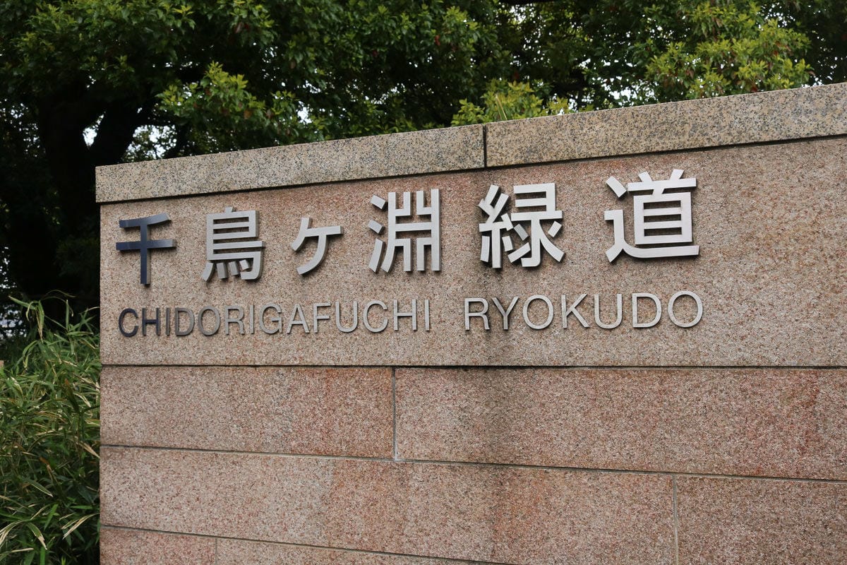 千鳥淵綠道 東京賞櫻散步遊船知名景點 就在皇居旁