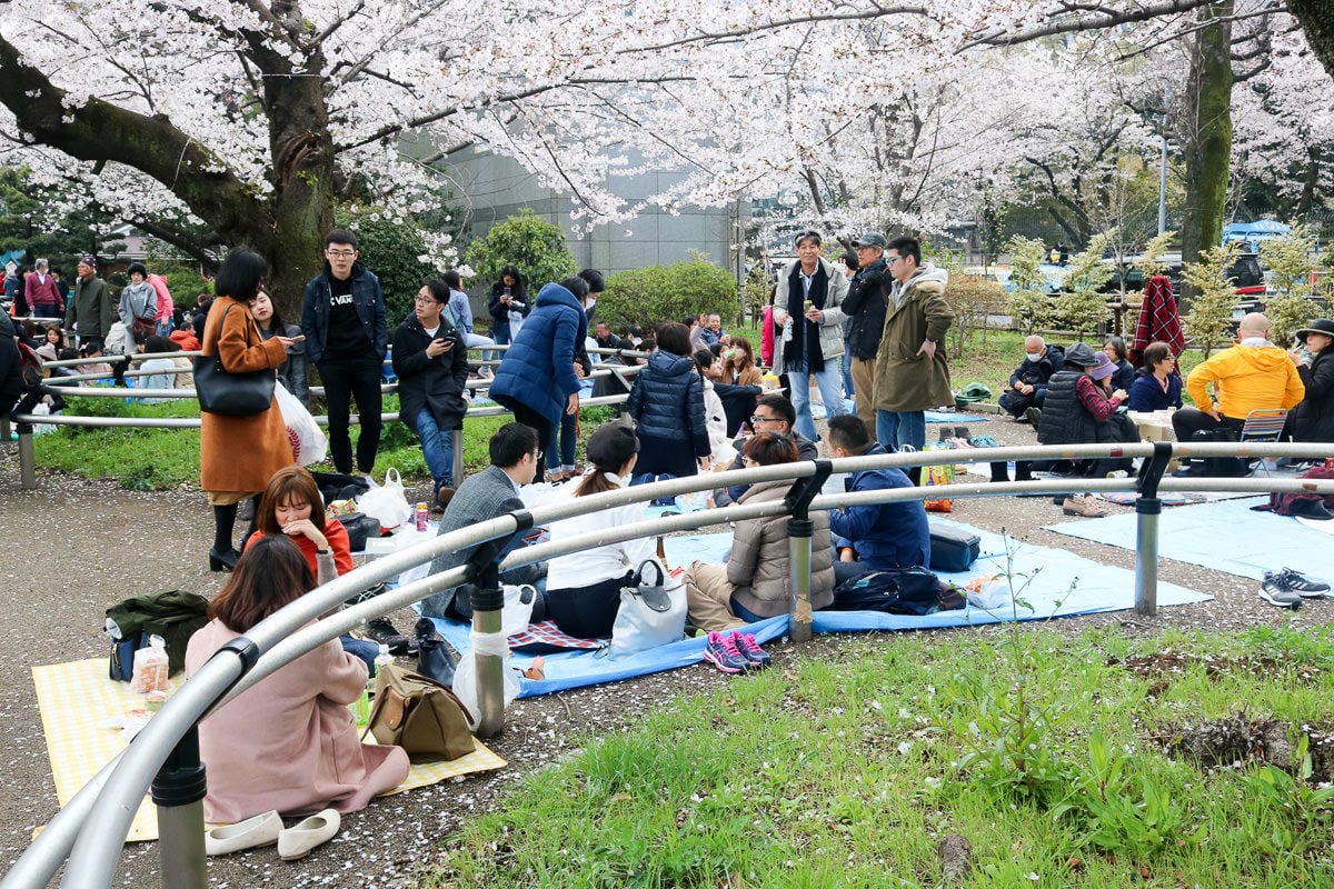 千鳥淵綠道 東京賞櫻散步遊船知名景點 就在皇居旁