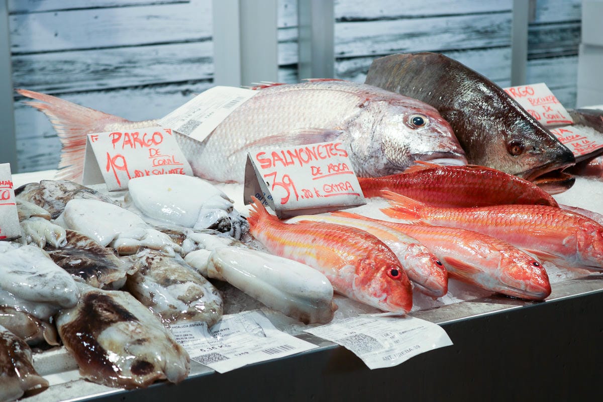 西歐最古老城市！加的斯中央市場也是西班牙最老海港菜市場