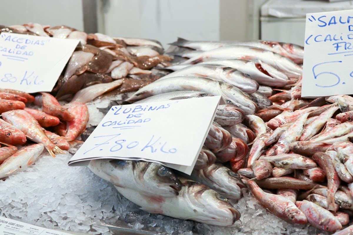 西歐最古老城市！加的斯中央市場也是西班牙最老海港菜市場