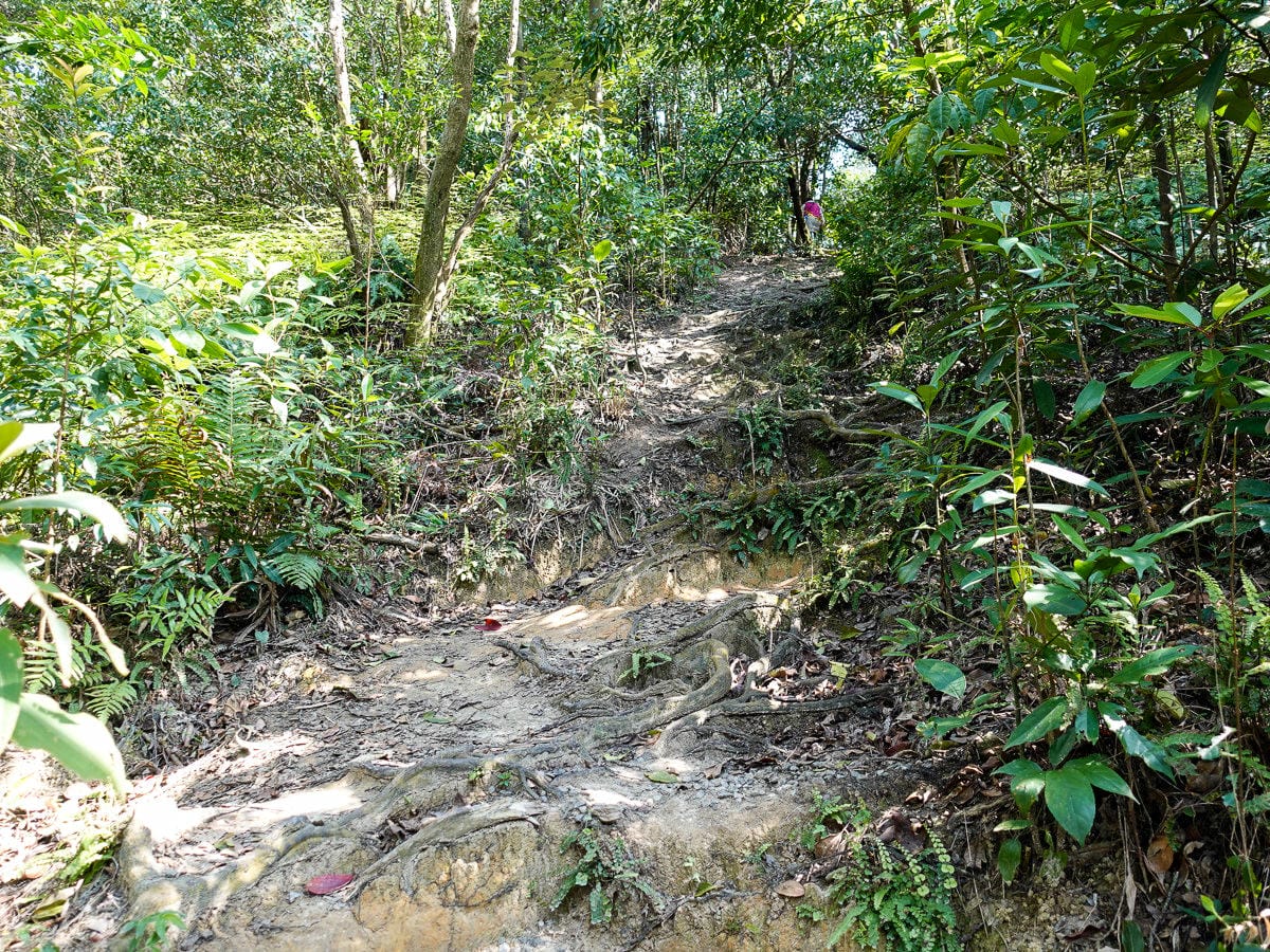 內湖金面山採石場大岩壁 路線飛簷走壁不回頭之Google地圖沒有的登山步道