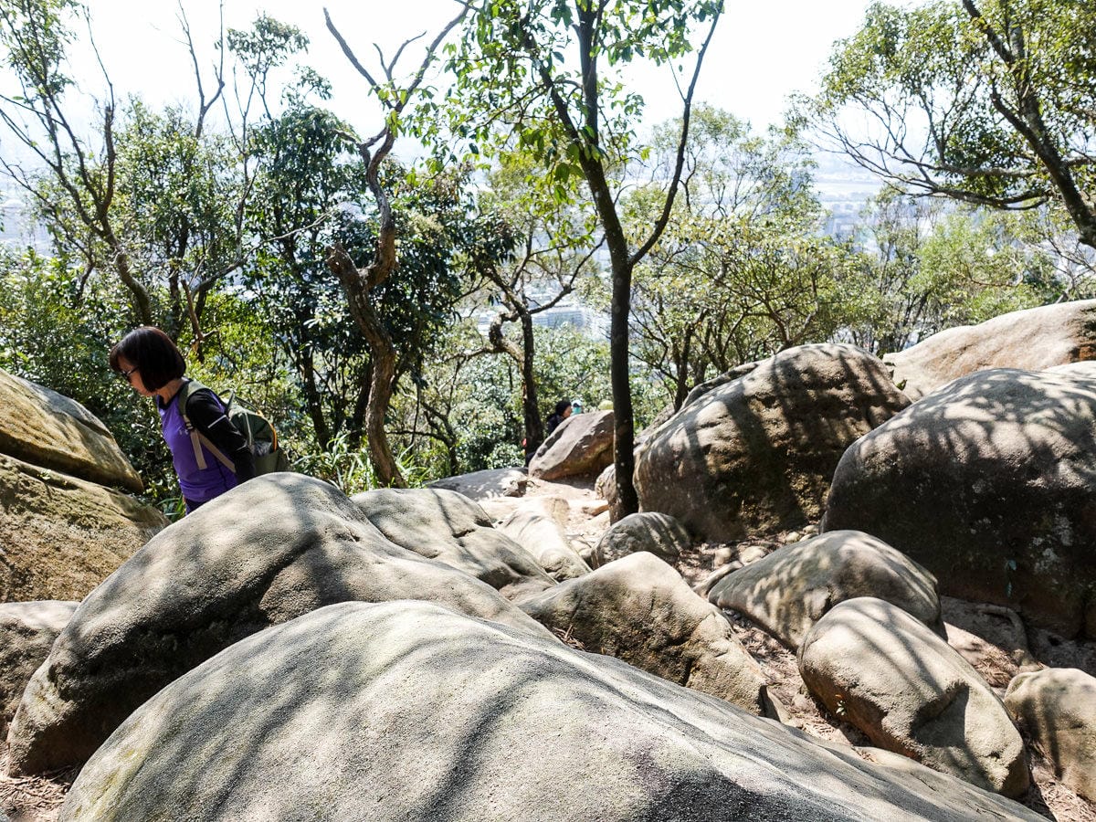 內湖金面山採石場大岩壁 路線飛簷走壁不回頭之Google地圖沒有的登山步道