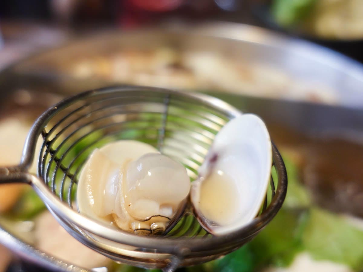 內湖火鍋 金鍋盃小火鍋吃肉吃海鮮湯底種類多 高品質寵物友善