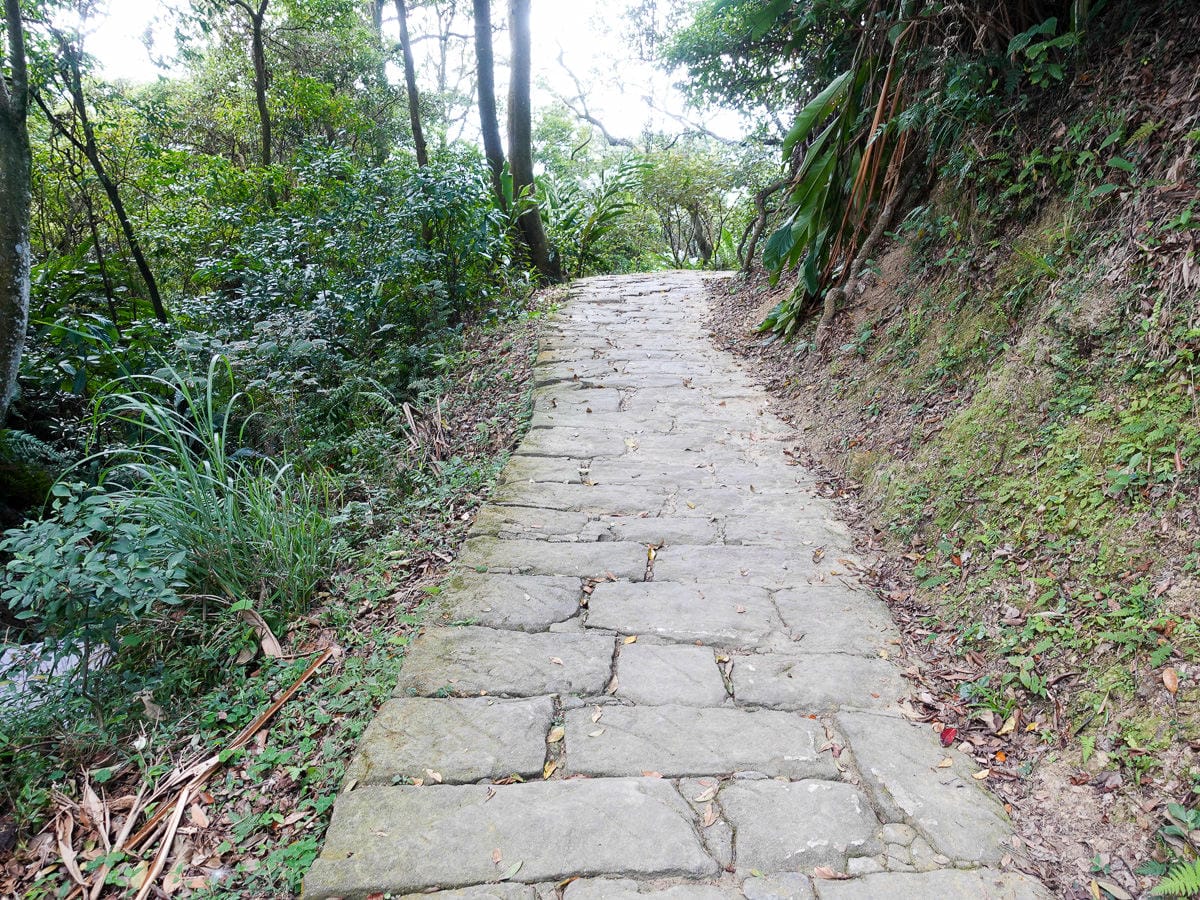 台北大縱走內湖忠勇山劍潭圓山支線老地方觀機平台 健行登山步道比你想得更豐富