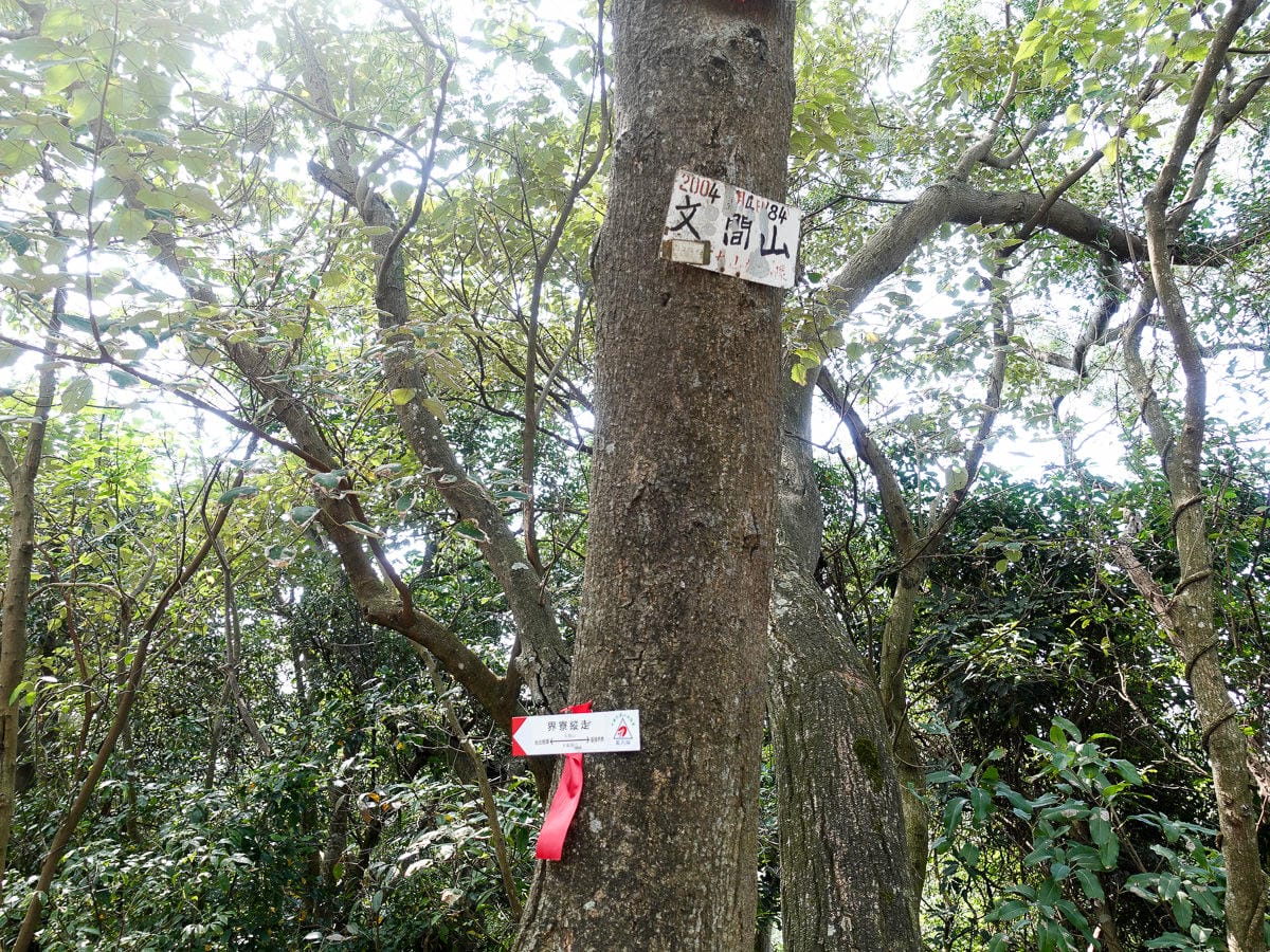 台北大縱走內湖忠勇山劍潭圓山支線老地方觀機平台 健行登山步道比你想得更豐富