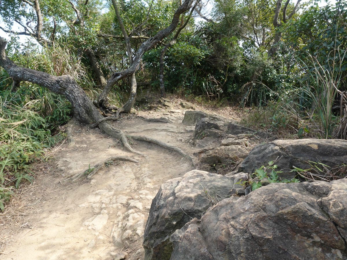 台北大縱走內湖忠勇山劍潭圓山支線老地方觀機平台 健行登山步道比你想得更豐富