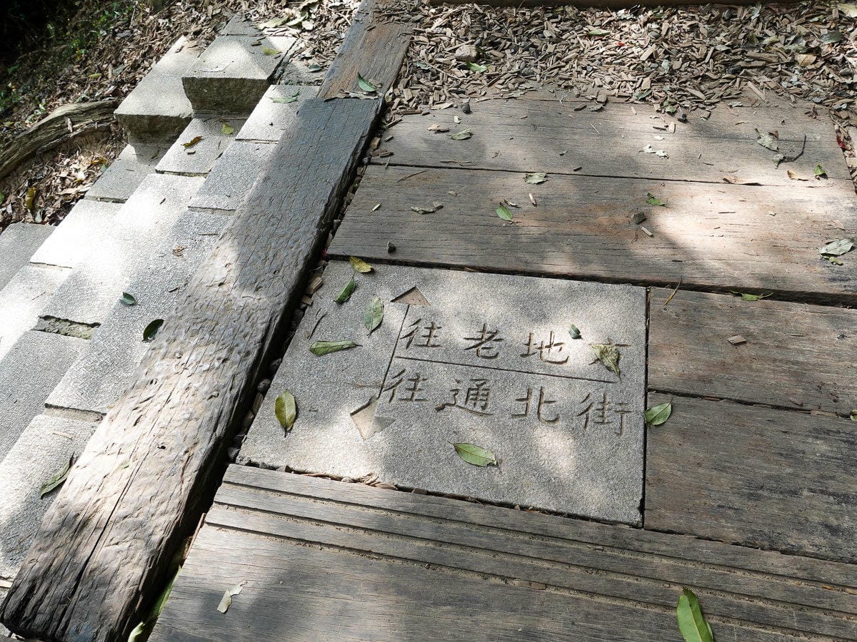 台北大縱走內湖忠勇山劍潭圓山支線老地方觀機平台 健行登山步道比你想得更豐富