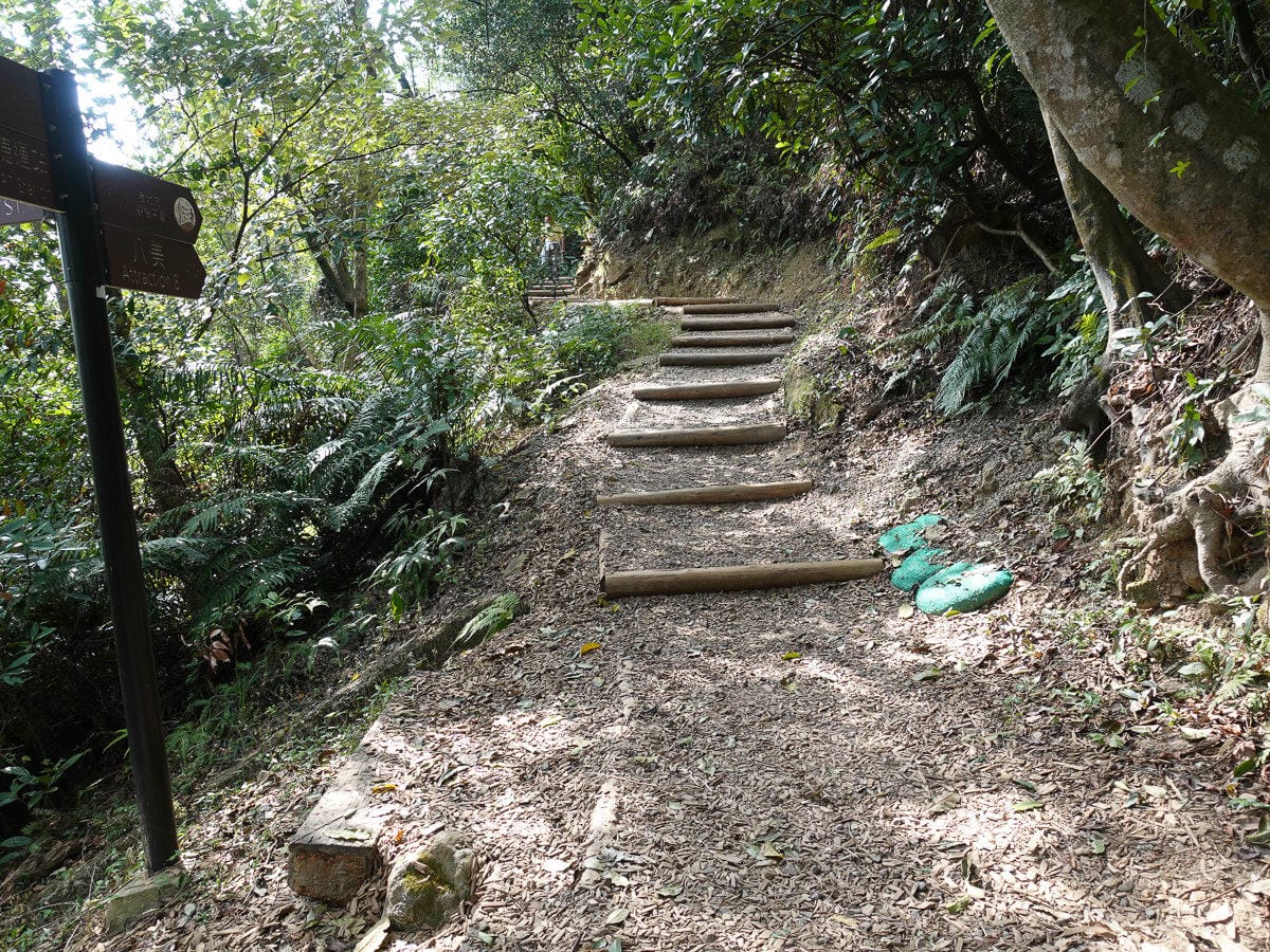 台北大縱走內湖忠勇山劍潭圓山支線老地方觀機平台 健行登山步道比你想得更豐富