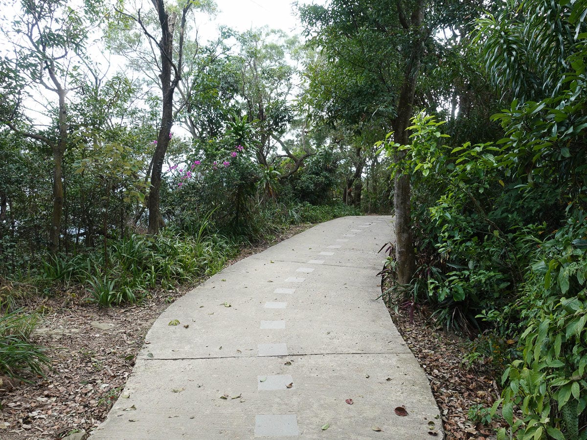 台北大縱走內湖忠勇山劍潭圓山支線老地方觀機平台 健行登山步道比你想得更豐富