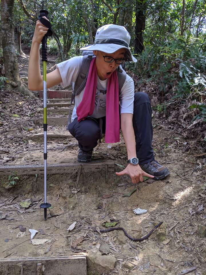 內湖登山步道健行蚯蚓