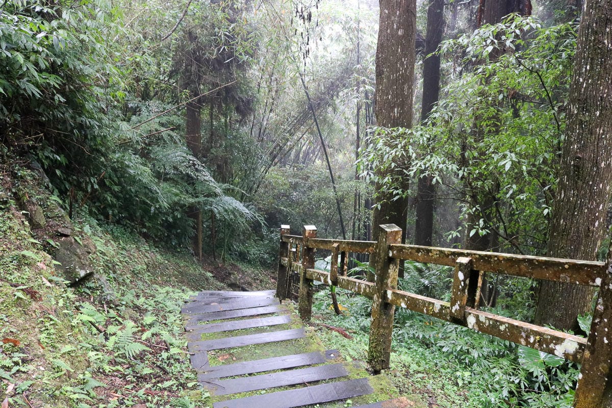 老蝦朝聖之路練走 從零開始活動