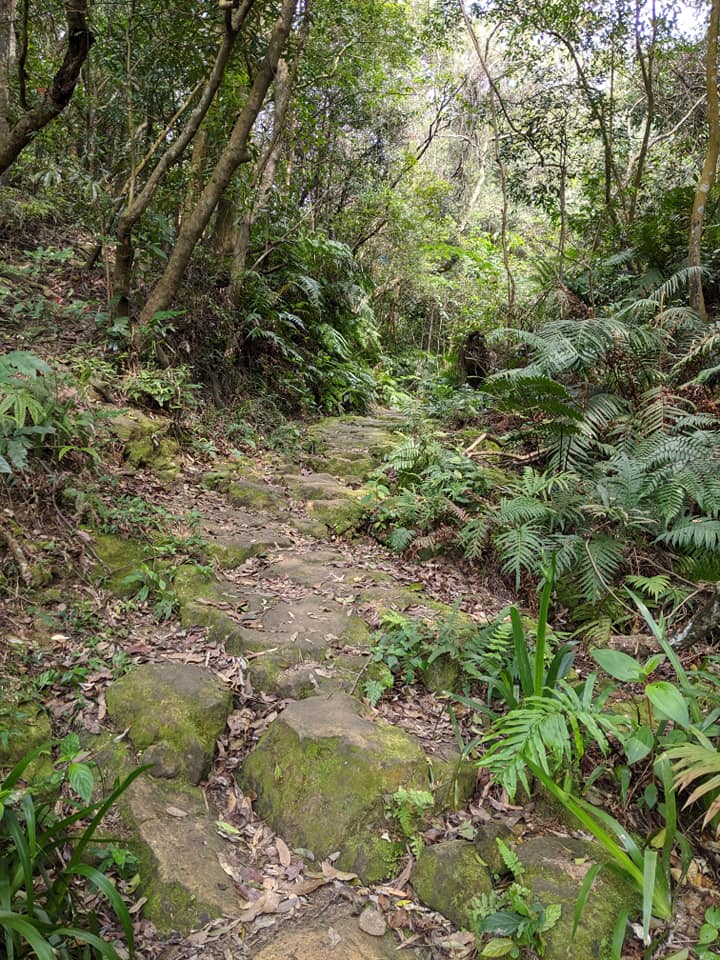 朝聖練走內湖山脊線大崙頭自然步道
