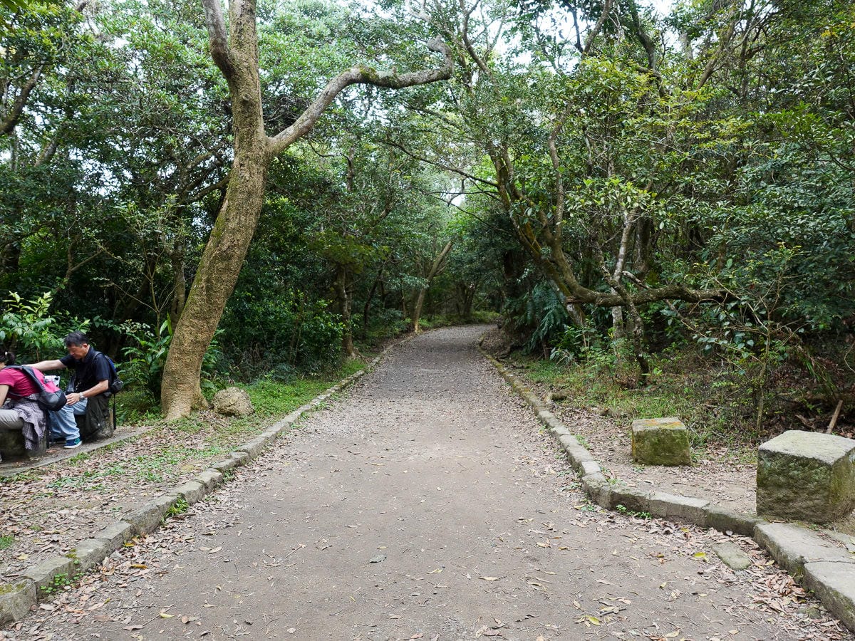 台北健行登山推薦內湖山背脊、金面山稜線縱走大崙頭山台灣小百岳