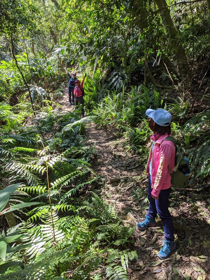開眼山龍船岩大邱田山白石湖山內湖步道