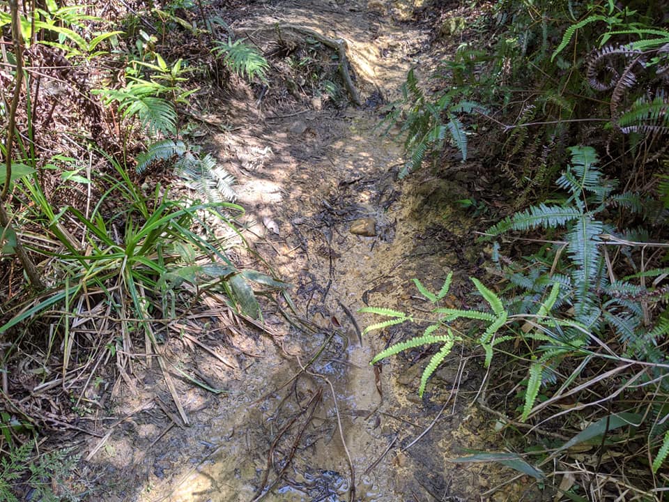 開眼山龍船岩大邱田山白石湖山內湖步道