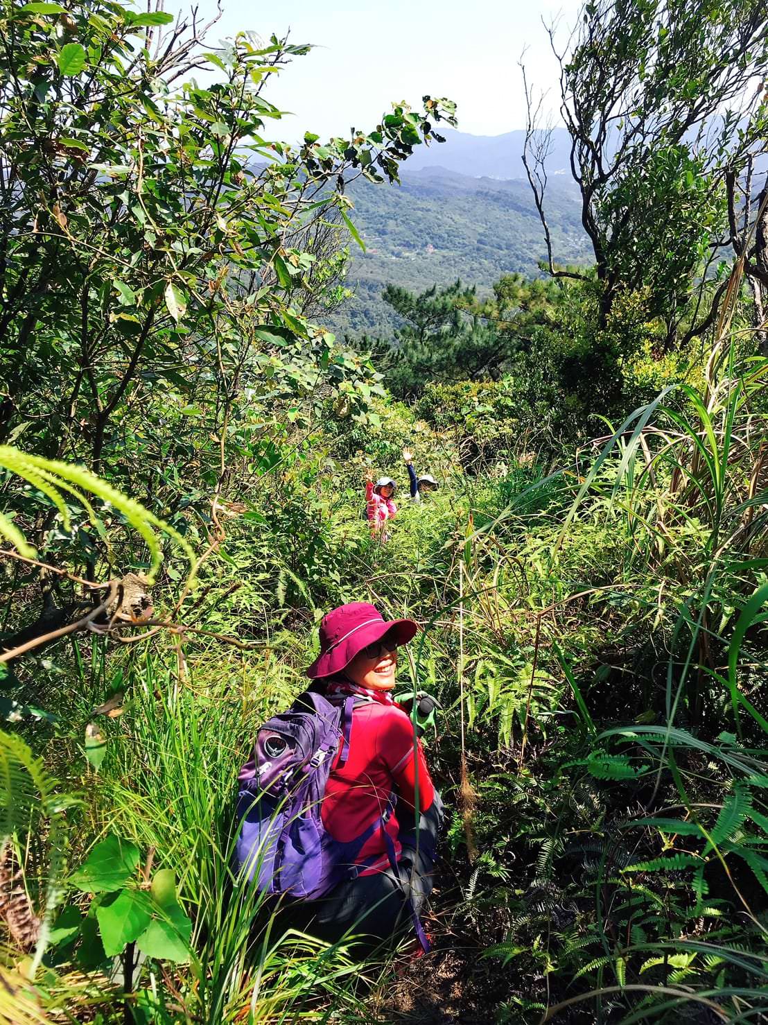 內湖龍船岩 開眼山 白石湖山 大邱田山登山步道一圈 太原始了不是台北市