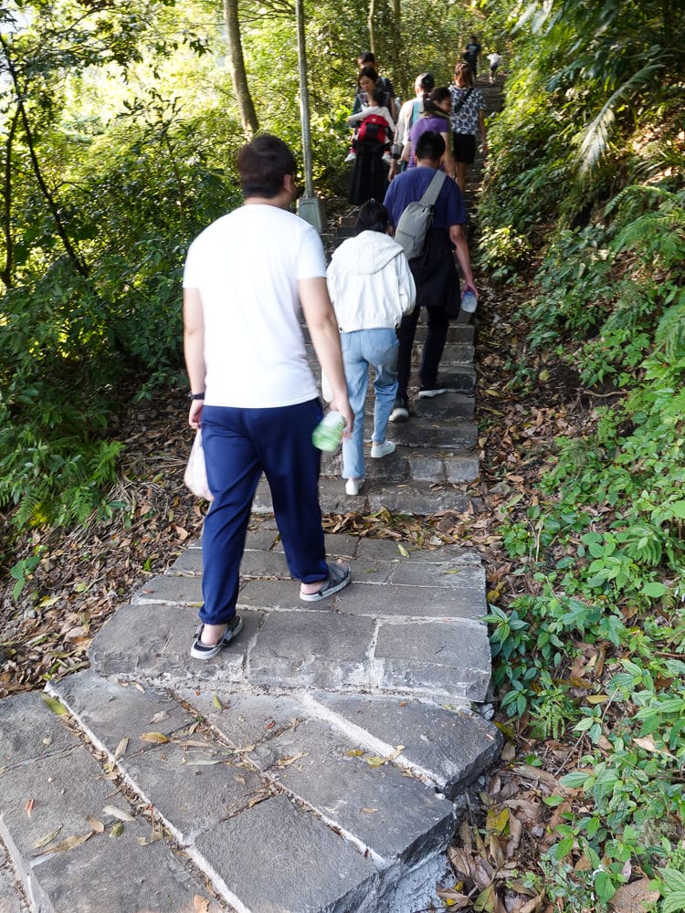 新北八里觀音山硬漢嶺登山步道 加入弱者俱樂部拿下台灣小百岳 - 第14張圖 新北八里觀音山硬漢嶺登山步道 加入弱者俱樂部拿下台灣小百岳