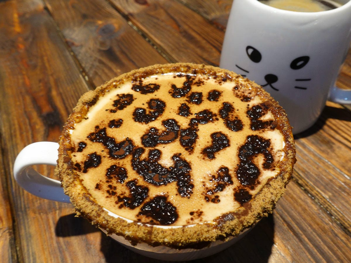 新北八里觀音山硬漢嶺登山步道 加入弱者俱樂部拿下台灣小百岳 - 第16張圖 新北八里觀音山硬漢嶺登山步道 加入弱者俱樂部拿下台灣小百岳