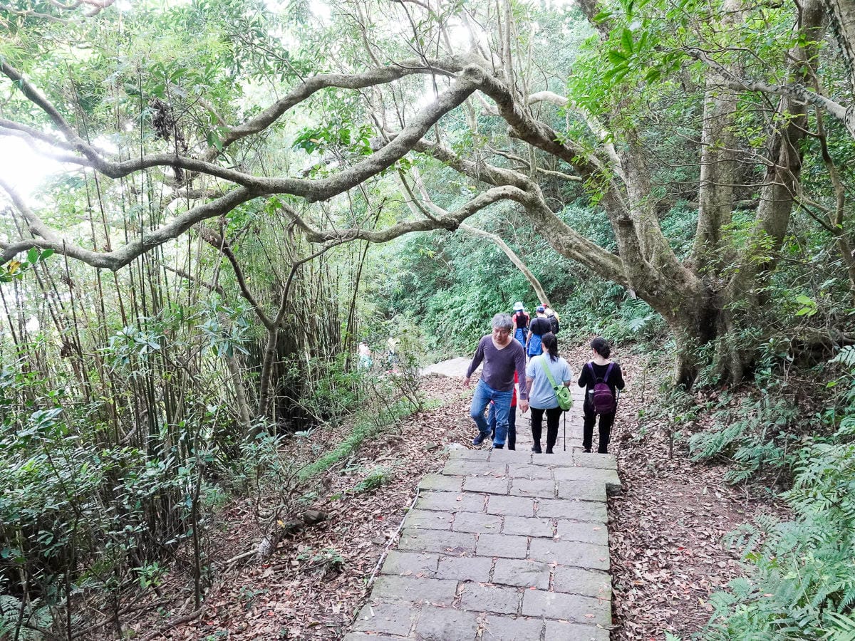 新北八里觀音山硬漢嶺登山步道 加入弱者俱樂部拿下台灣小百岳 - 第6張圖 新北八里觀音山硬漢嶺登山步道 加入弱者俱樂部拿下台灣小百岳