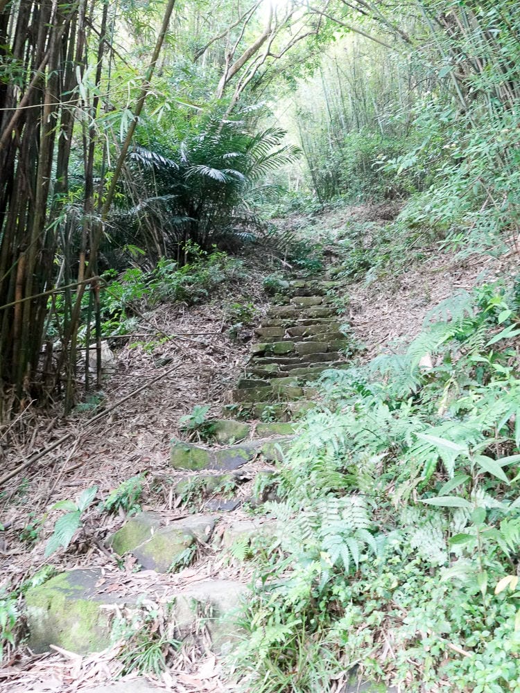 新北八里觀音山硬漢嶺登山步道 加入弱者俱樂部拿下台灣小百岳 - 第13張圖 新北八里觀音山硬漢嶺登山步道 加入弱者俱樂部拿下台灣小百岳