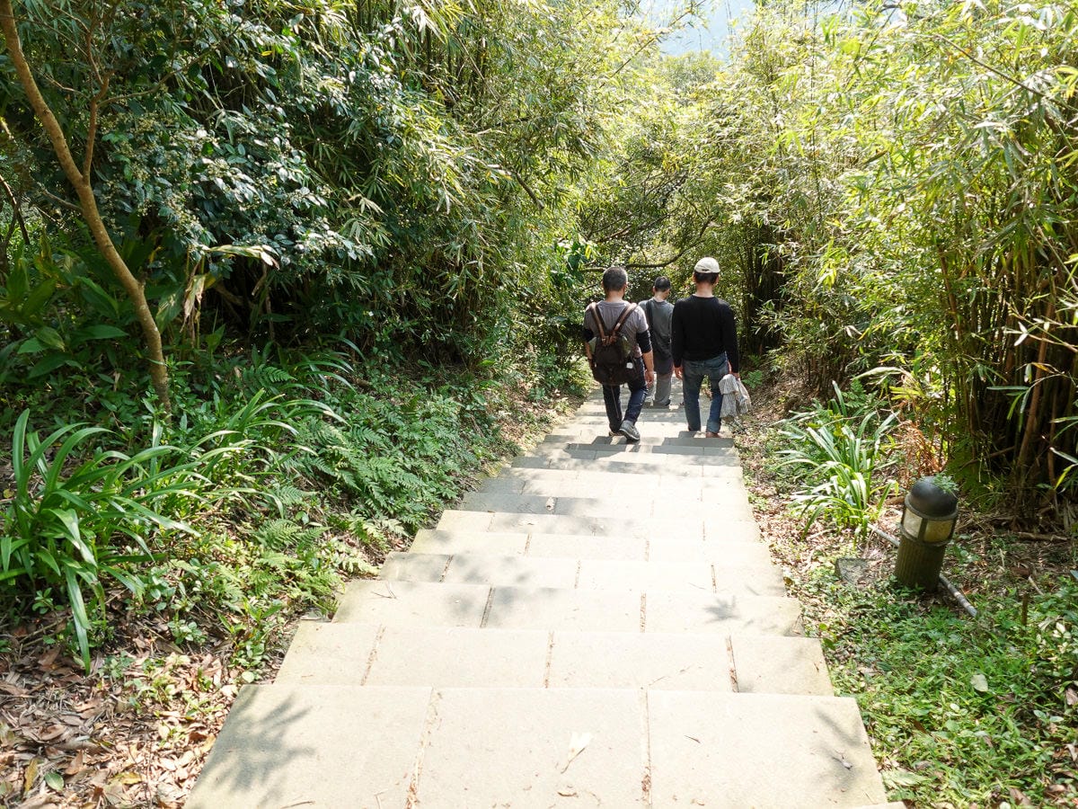 新北八里觀音山硬漢嶺登山步道 加入弱者俱樂部拿下台灣小百岳 - 第8張圖 新北八里觀音山硬漢嶺登山步道 加入弱者俱樂部拿下台灣小百岳