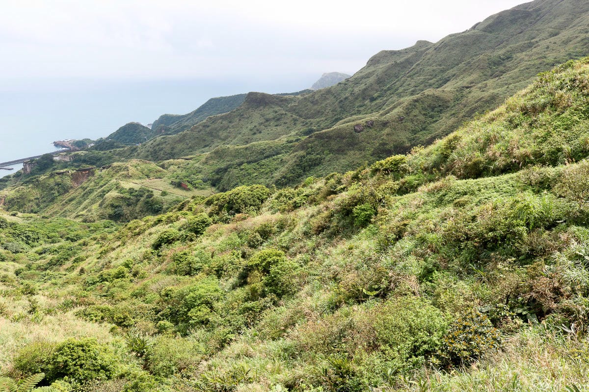 新北登山路線 茶壺山登山步道 瑞芳金瓜石勸濟堂出發 - 第29張圖 新北登山路線 茶壺山登山步道 瑞芳金瓜石勸濟堂出發