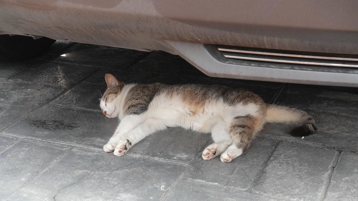 新北登山路線 報時山 六坑索道 煙囪稜 祈堂老街