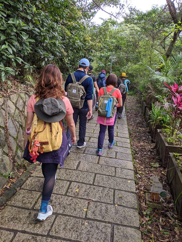 台北內湖碧湖步道 鯉魚山小人國 甜水鴛鴦湖 健行環狀雨天路線