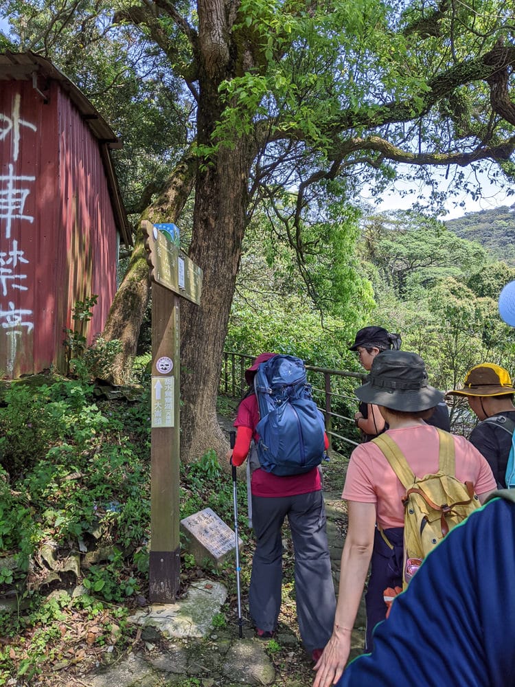 台北內湖碧湖步道 鯉魚山小人國 甜水鴛鴦湖 健行環狀雨天路線