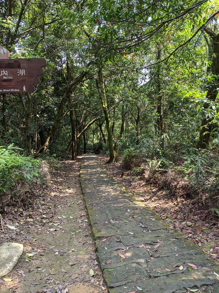 台北內湖碧湖步道 鯉魚山小人國 甜水鴛鴦湖 健行環狀雨天路線