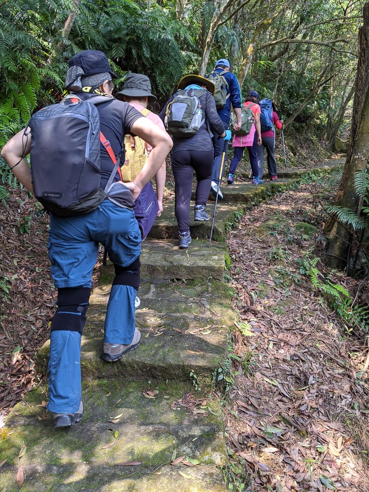 台北內湖碧湖步道 鯉魚山小人國 甜水鴛鴦湖 健行環狀雨天路線
