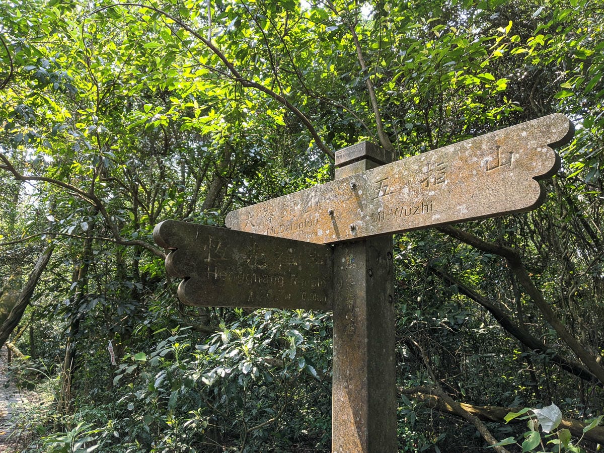 台北內湖碧湖步道 鯉魚山小人國 甜水鴛鴦湖 健行環狀雨天路線