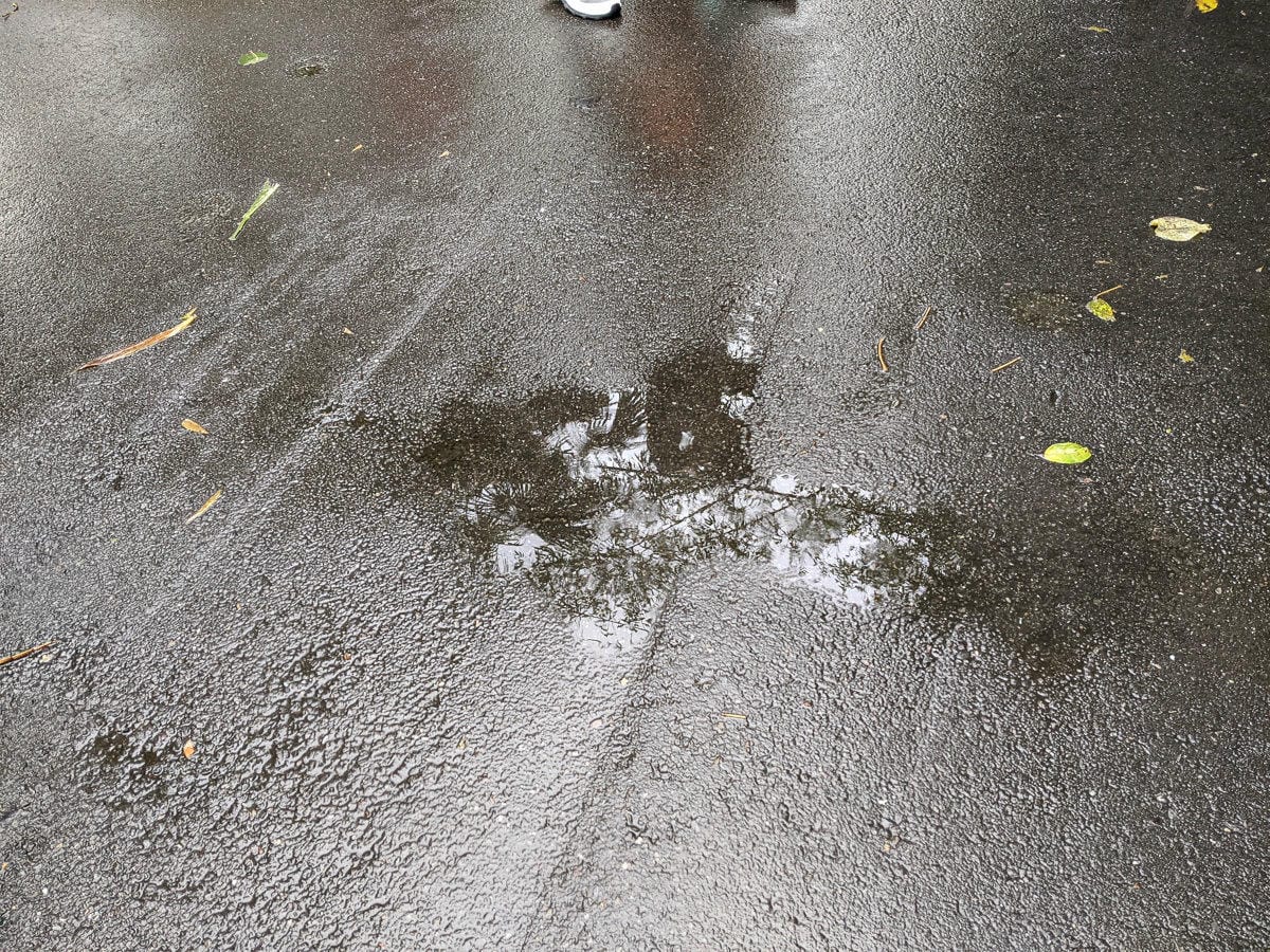 台北爬山遊記 內湖大崙尾山 長壽坡 碧溪步道繞一圈內湖人少好走經典路線