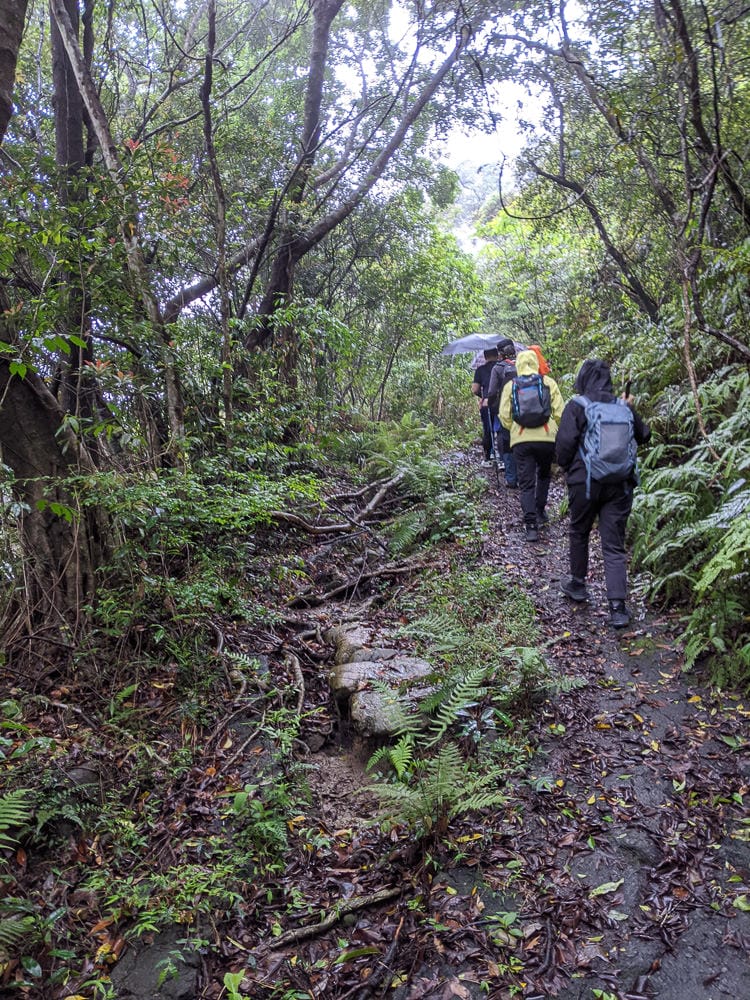 台北爬山遊記 內湖大崙尾山 長壽坡 碧溪步道繞一圈內湖人少好走經典路線