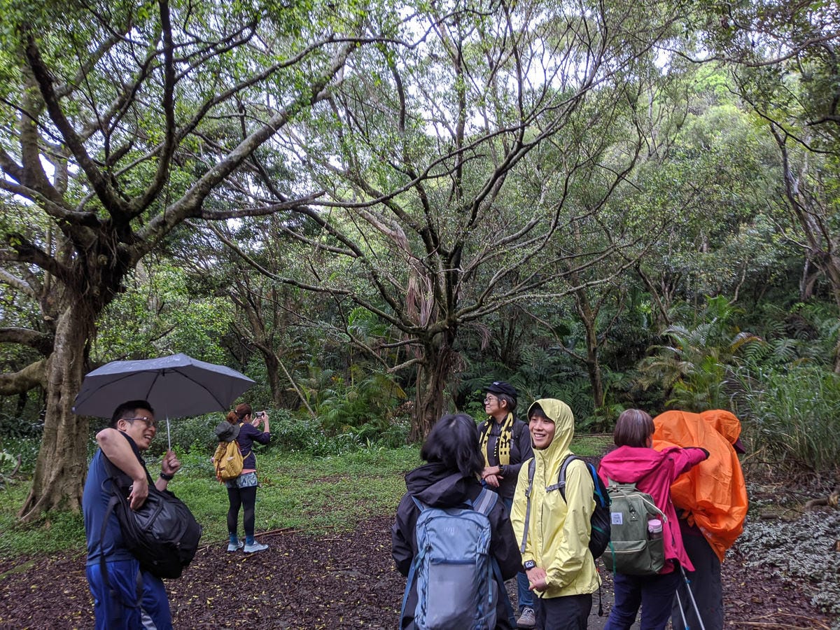 台北爬山遊記 內湖大崙尾山 長壽坡 碧溪步道繞一圈內湖人少好走經典路線