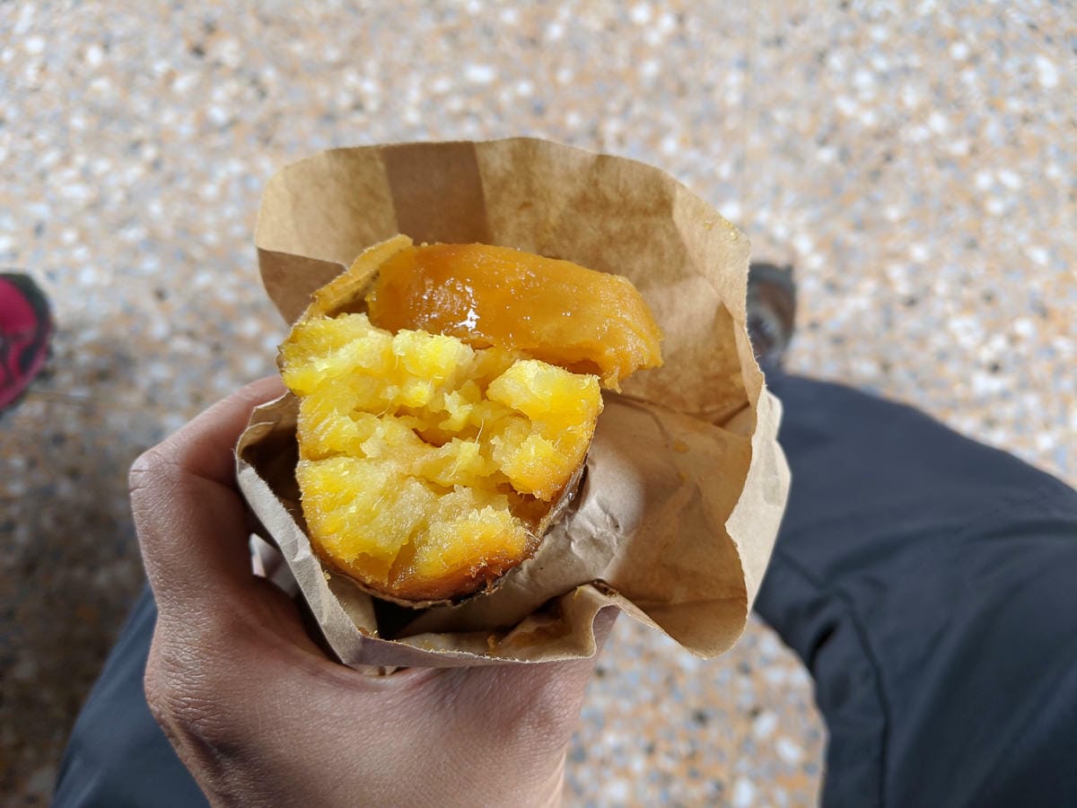 台北爬山遊記 內湖大崙尾山 長壽坡 碧溪步道繞一圈內湖人少好走經典路線