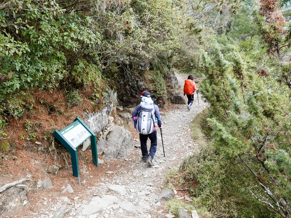 百岳新手玉山主峰兩天兩夜行程日記 Day1 塔塔加鞍部玉山登山口到排雲山莊