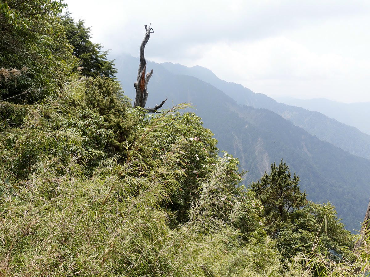 百岳新手玉山主峰兩天兩夜行程日記 Day1 塔塔加鞍部玉山登山口到排雲山莊