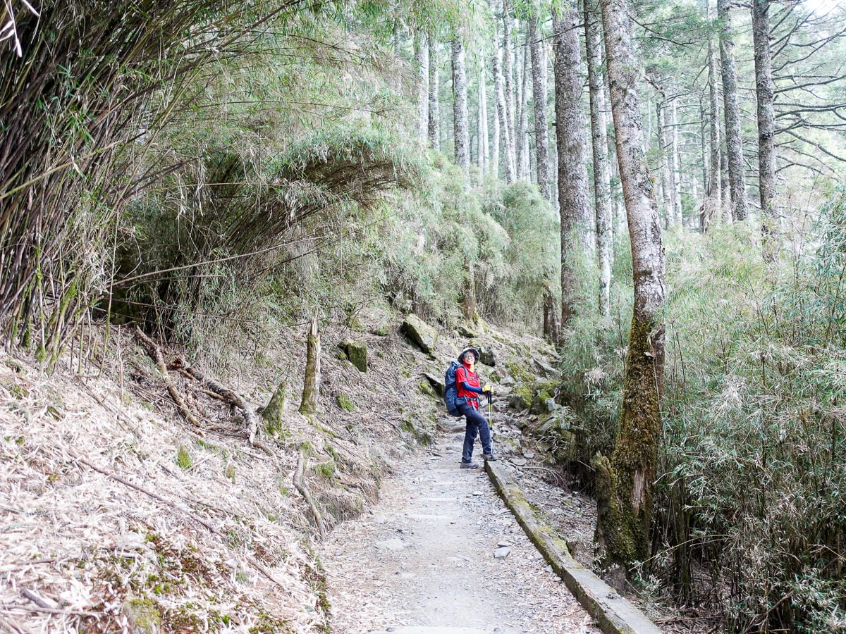 百岳新手玉山主峰兩天兩夜行程日記 Day1 塔塔加鞍部玉山登山口到排雲山莊