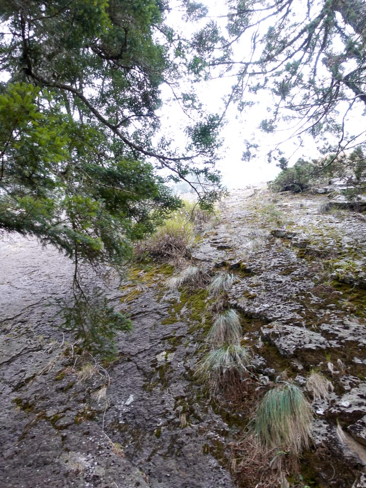 百岳新手玉山主峰兩天兩夜行程日記 Day1 塔塔加鞍部玉山登山口到排雲山莊