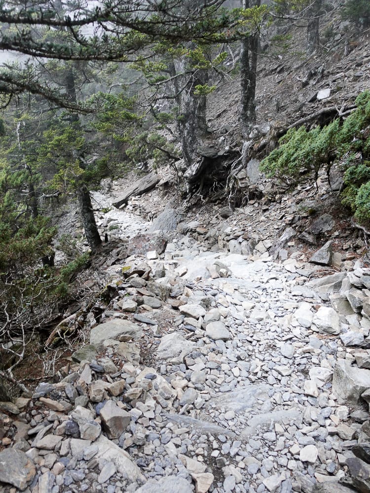 百岳新手玉山主峰兩天兩夜行程日記 Day2 摸黑登頂的人生大事