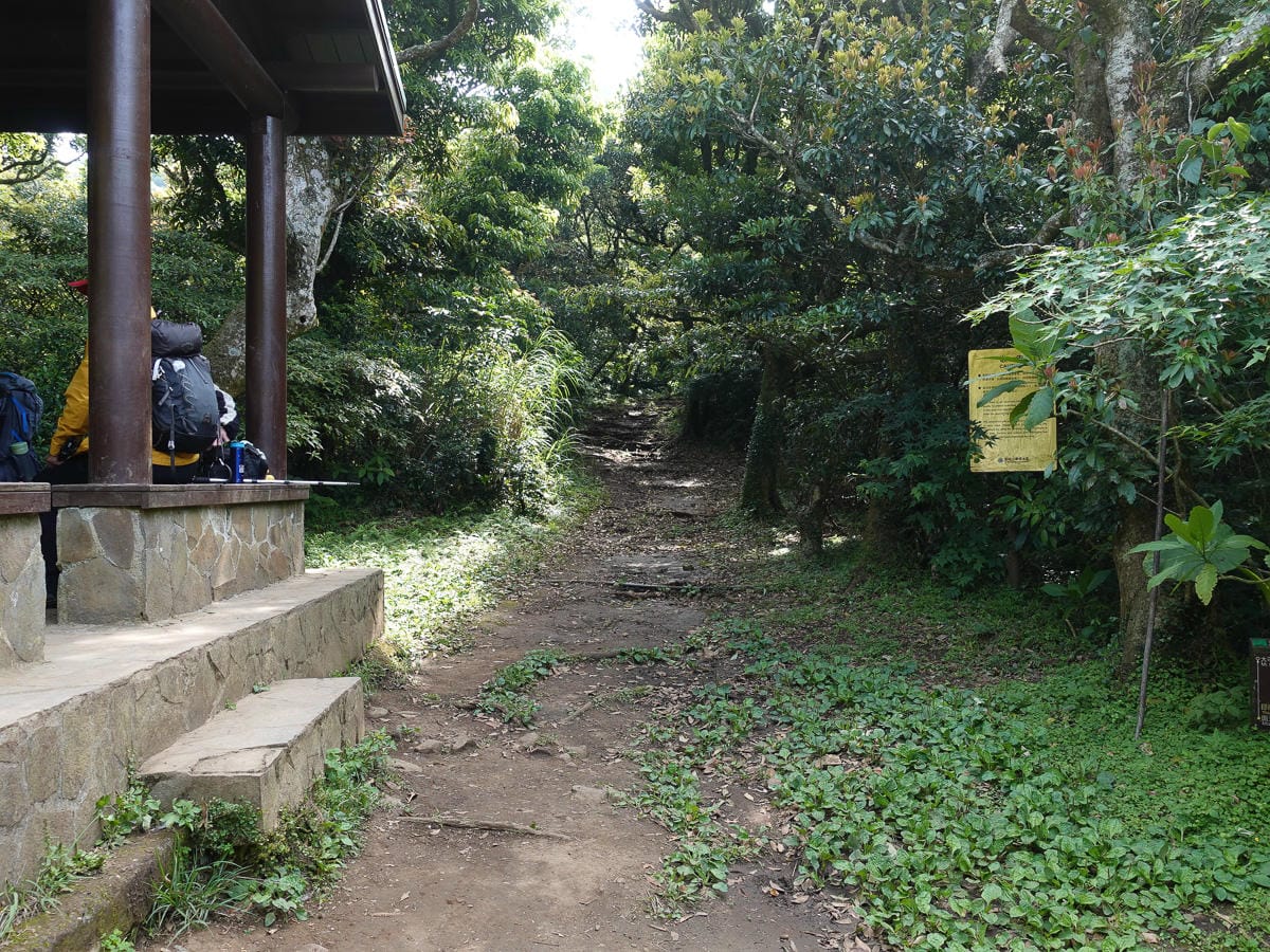 從捷運北投站一路走上面天坪 登頂大屯山西峰成為吃土人比誰吃得多