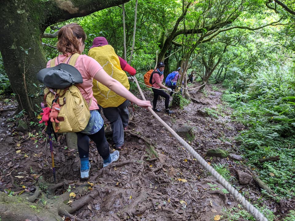 從捷運北投站一路走上面天坪 登頂大屯山西峰成為吃土人比誰吃得多