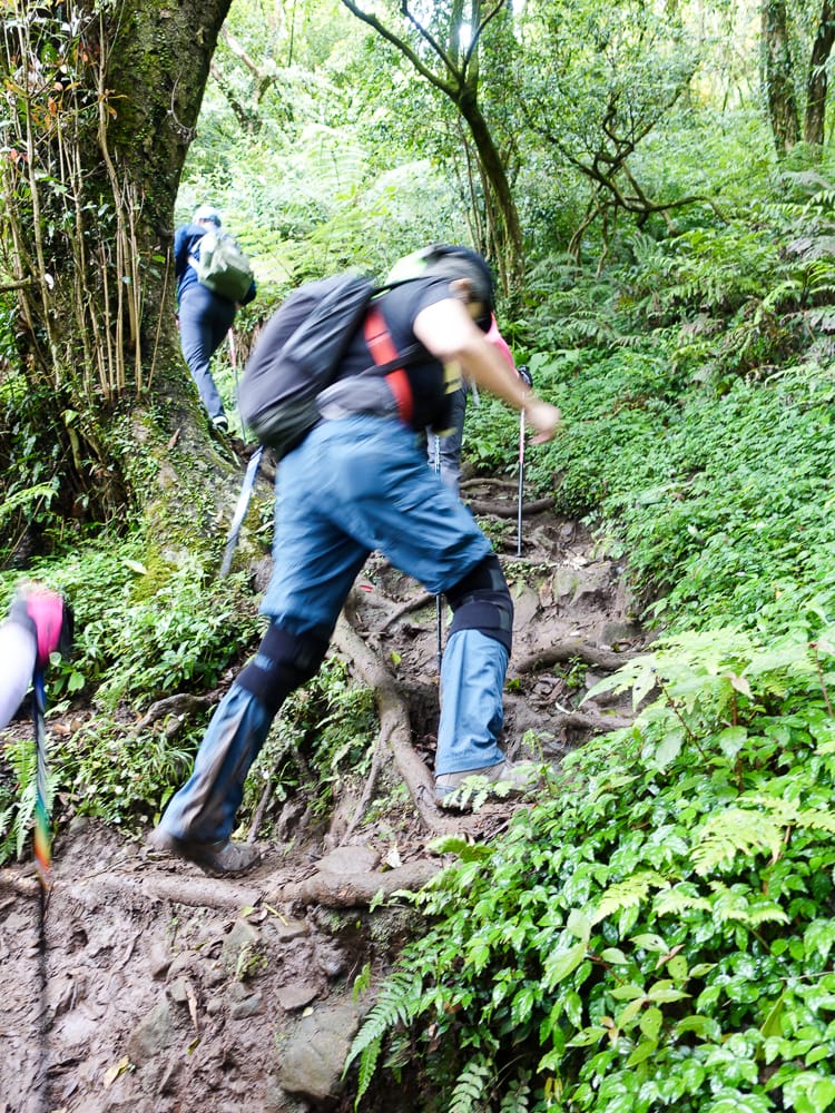 從捷運北投站一路走上面天坪 登頂大屯山西峰成為吃土人比誰吃得多