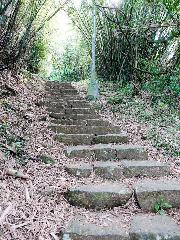 北投百岳練習 清天宮 面天坪 面天山 向天山 興福寮古道O形